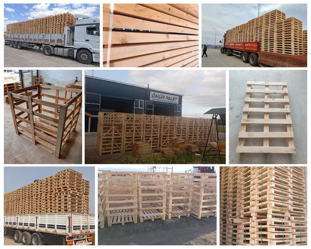 Saint-Nicolas Houten Kisten, Europallets Groothandel Kopen